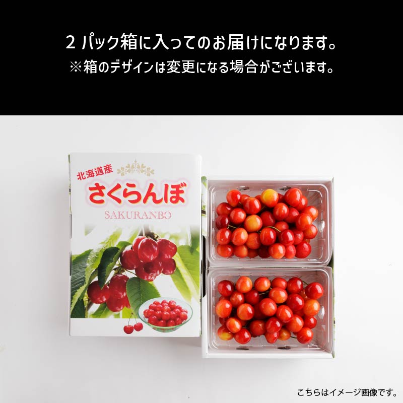 甘熟さくらんぼ「佐藤錦Ｌ250g×2個」北海道産サクランボ
