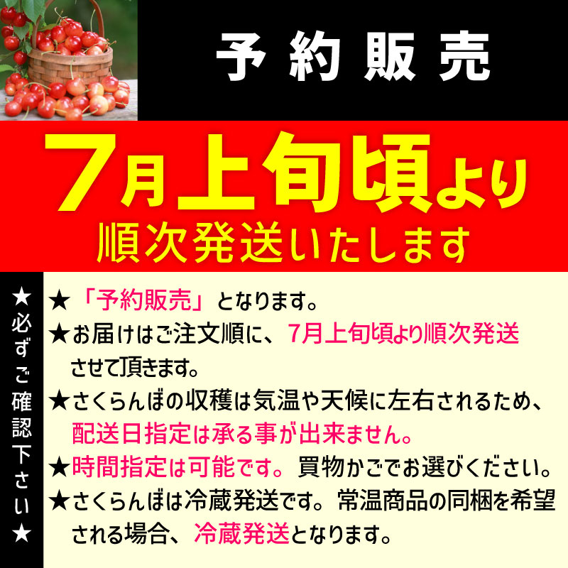甘熟さくらんぼ「佐藤錦Ｌ250g×2個」北海道産サクランボ