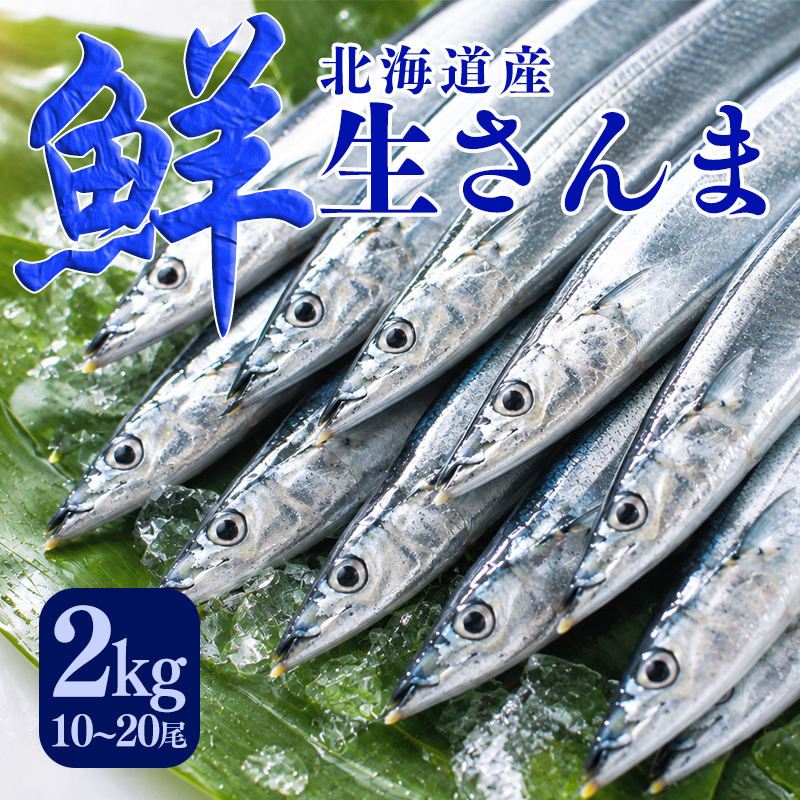 鮮度抜群のさんま