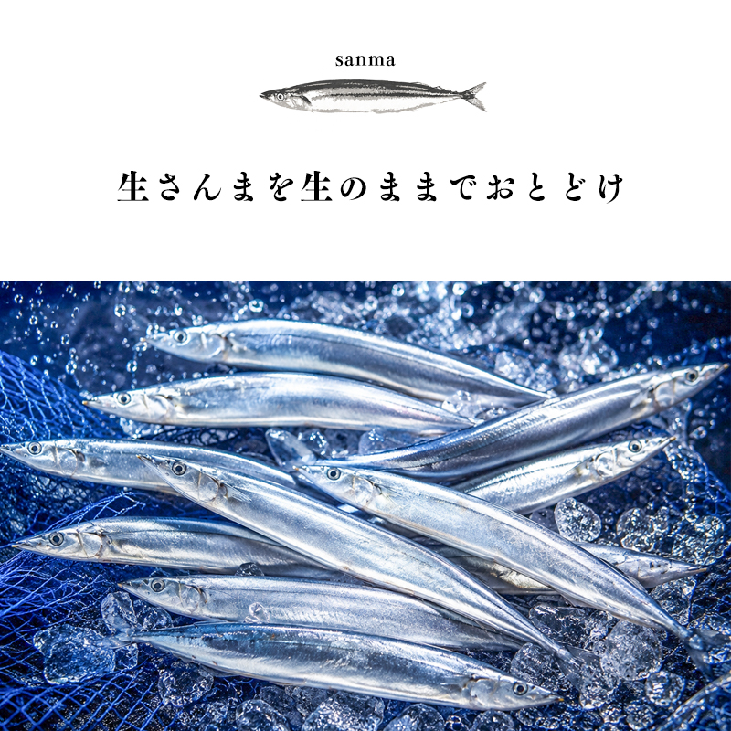 鮮度抜群のさんま