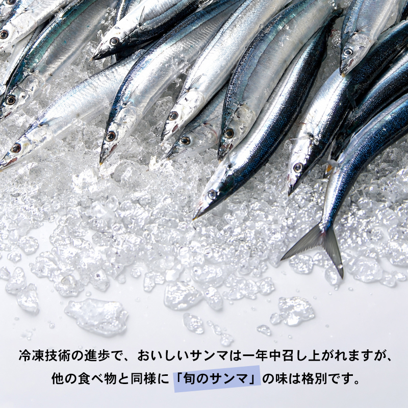 鮮度抜群のさんま