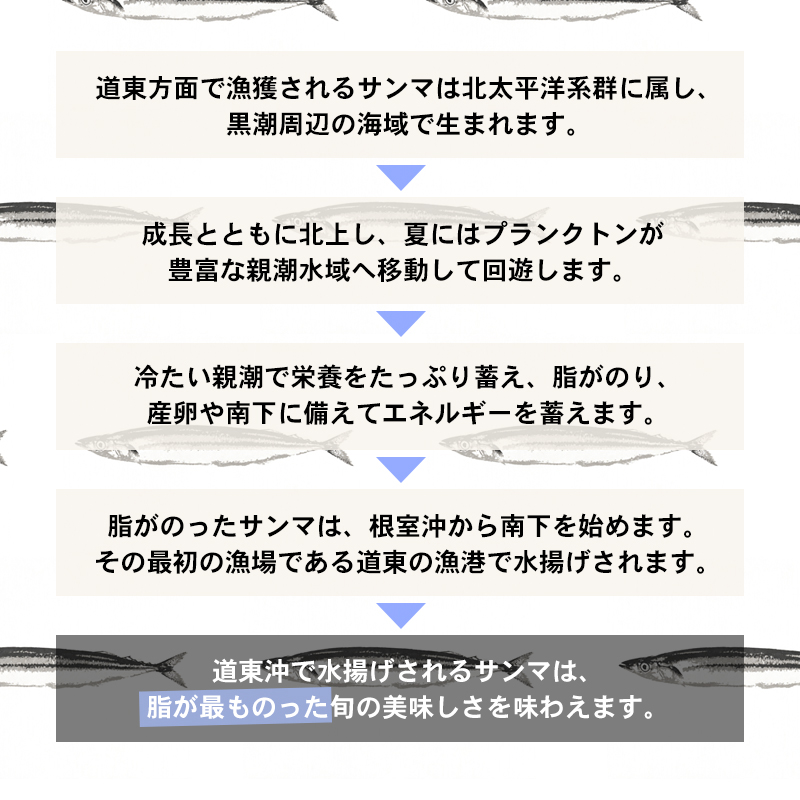 鮮度抜群のさんま