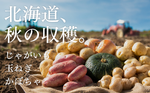 北海道、秋の収穫