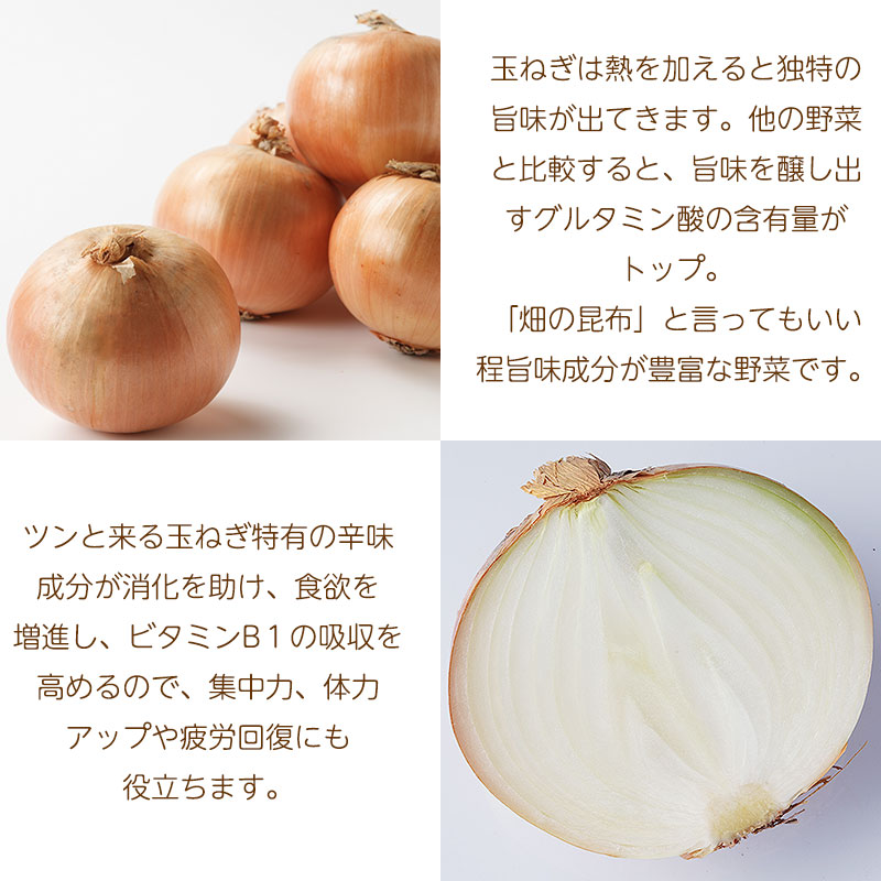ジャガイモ　玉ねぎ　set販売　11 ジャガイモ 玉ねぎ set販売 11 ジャガイモ玉ねぎset販売08