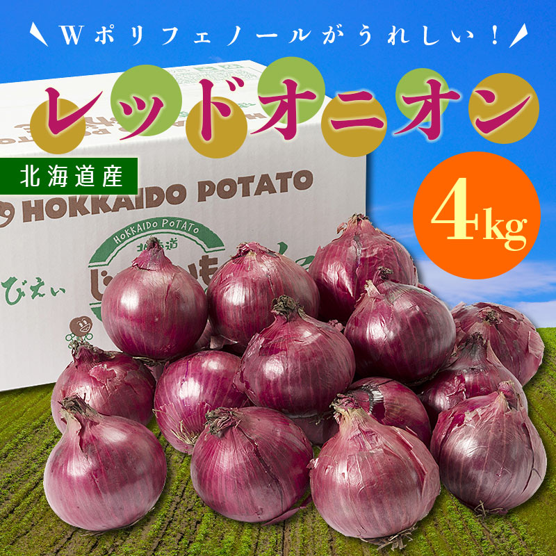 北海道産 レッドオニオン4kg/Ｌ