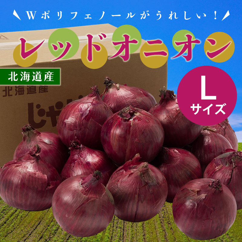 レッドオニオン 4kg