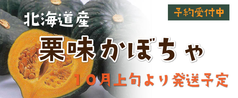 北海道直送かぼちゃ予約受付中