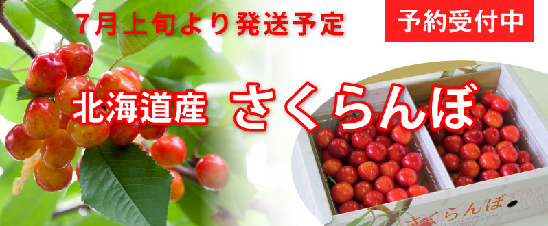 でんすけスイカ予約受付中