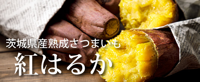 茨城産 紅はるか 販売中