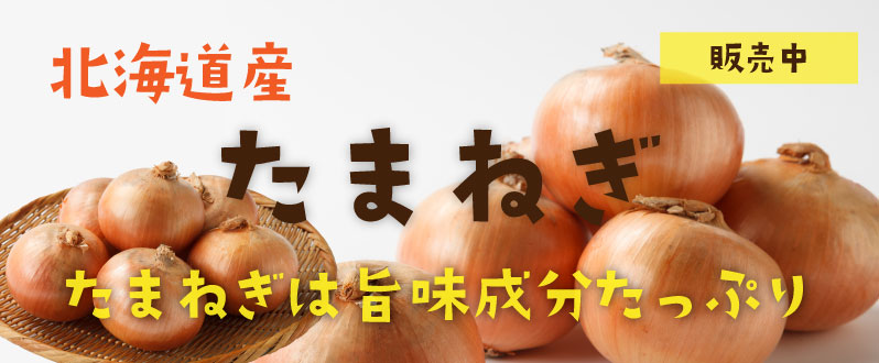 北海道直送玉葱予約受付中