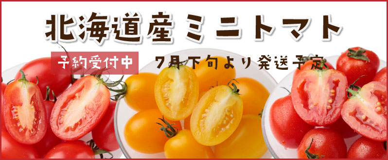 北海道産ミニトマト予約受付中