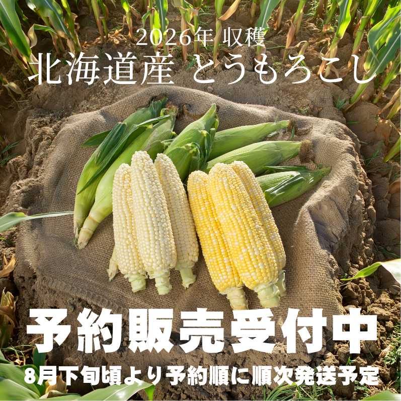 とうもろこし予約受付中