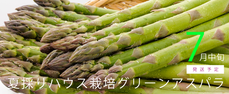 露地物アスパラ予約受付中